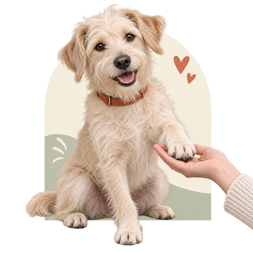 Rescued dog reaching for a helping hand